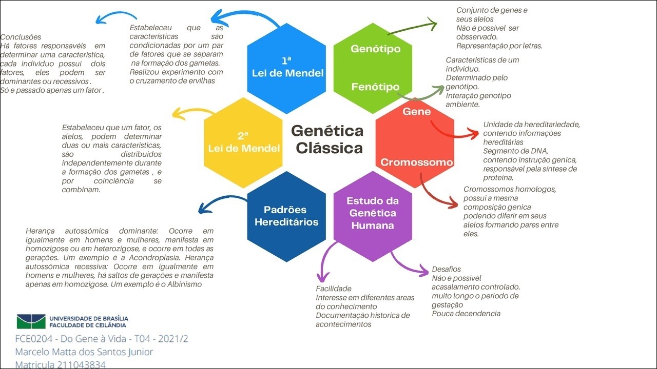 Conceitos de Genética